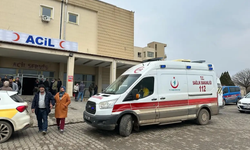 Siverek’te feci kaza: Sürücüsü öldü, eşi yaralandı