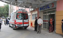 Şanlıurfa’da şarampole devrilen otomobilin sürücüsü yaralandı