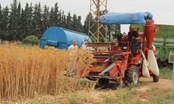 Tarımsal destek ödemeleri hesaplarda!