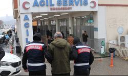 Şanlıurfa merkezli 3 ilde terör operasyonu, 2 tutuklama