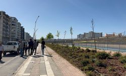 Şanlıurfa’da kanaldan cansız bedeni çıktı!