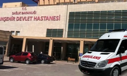 Viranşehir'de Feci Kaza: 1 Ölü,1 Yaralı