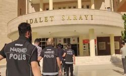 Şanlıurfa merkezli dev operasyon!