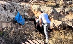 Şanlıurfa’da uyuşturucu operasyonu, 1 tutuklama