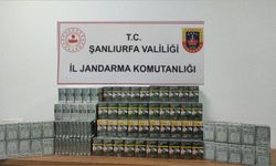 Şanlıurfa’da Kaçak Tütün ve Alkol Operasyonu: 980 Paket Kaçak Sigara Ele Geçirildi