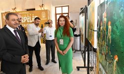Resim Sanatçıları, Taş Tepeleri Sanatlarıyla Yansıttı