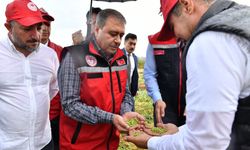 Şanlıurfa Valiliği, Hasat Kuralları Ve Anız Yangınlarının Önlenmesi Amacıyla Genel Emir Yayınladı