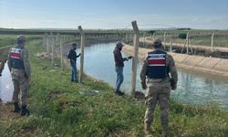 Şanlıurfa'da yasağa uymayanlara ceza yağdı