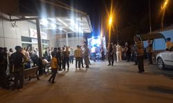 Birecik'te akraba kavgası, 2 ölü, 9 yaralı