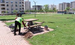 Haliliye’de Parklar İçin Tasarruflu Üretim Modeli