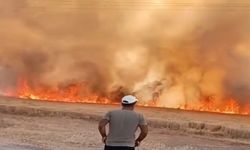 Harran’da Yangın Felaketi: 40 Dönüm Ekin Yanarak Yok Oldu