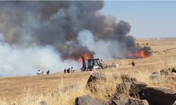 Şanlıurfa’da Alev Alev: Bin Dönüm Tarla Yandı, 5 Yaralı!
