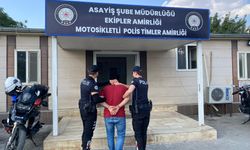 Urfa'da şüphe üzerine durdurulan şahıs tutuklandı