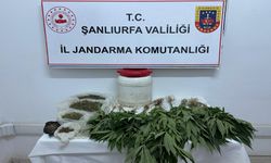 Suruç’ta Ev Baskınında Uyuşturucu Yakalandı
