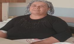 Halfeti'de 55 Yaşındaki Kadın Pazar Yolunda Kayıp: Ailesi Endişeli