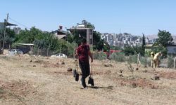 Şanlıurfa’da boş buldular: Ama Ekipler Fark Etti