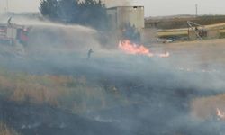 Bozova'da Ekin Yangını! Rüzgar Alevleri Taşıdı
