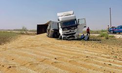 Eyyübiye’de Buğday Yüklü Tır Şarampole Devrildi: Tonlarca Buğday Yere Saçıldı