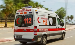 Şanlıurfa’da Otomobilden Çıktı, TIR Canını Aldı: