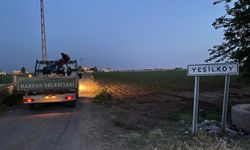 Harran'da İlaçlama Çalışmaları Halk Sağlığı İçin Devam Ediyor