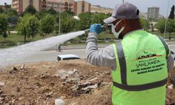 Büyükşehir Belediyesi’nden İlaçlama Seferberliği