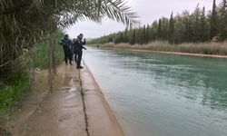 Şanlıurfa'da Sulama Kanalına Düşen 2 Kişi İçin Arama Çalışmaları Yeniden Başladı