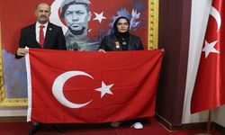Şanlıurfalı Şehit ve Gazi Ailelerinin Acısı 9 Yıldır Taze