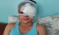 Viranşehir’de Korku Dolu Anlar: Köpekten Kaçan Çocuğa Otomobil Çarptı!