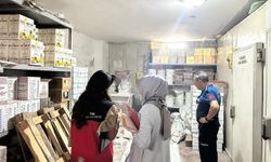 Haliliye’de Sağlığı Tehdit Eden Cevizler Zabıta Eşliğinde İmha Edildi