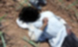 Akçakale’de Mısır Tarlasında Erkek Cesedi Bulundu