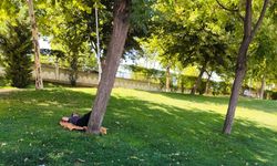 Şanlıurfa'da sıcaktan bunalanlar gölgelik alanlarda serinliyor