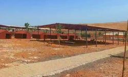 Viranşehir'e Can Olan Yatırım: Şanlıurfa’nın En Modern Hayvan Barınağı Hizmete Girdi!