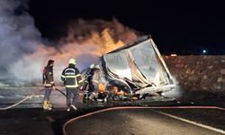 Şanlıurfa'da TIR alev alev yandı.