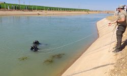 Şanlıurfa'da sulama kanalı yine can aldı