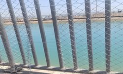 Şanlıurfa’da Her Yaz Aynı Acı: Tel Örgü Var, Vicdan Yok!