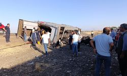 Siverek’te büyükbaş hayvan yüklü araç devrildi
