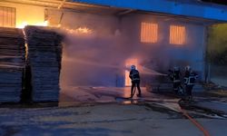 Şanlıurfa’da Korkutan Yangın