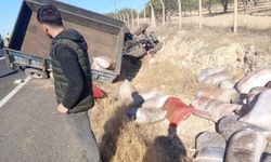 Birecik’te Fıstık Yüklü Traktör Şarampole Devrildi: Sürücü Yaralandı