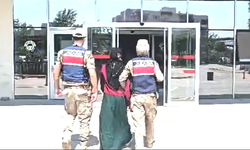 Şanlıurfa Jandarmasından Dev Operasyon: Çok Sayıda Silah ve Kenevir Ele Geçirildi
