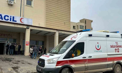 Siverek’te Korkunç Kaza! Olay Yerinde 2 Kişi Hayatını Kaybetti
