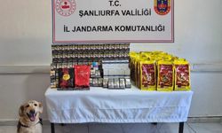 Viranşehir'de Jandarmadan Kaçakçılığa Geçit Yok!