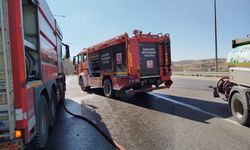 Eyyübiye'de Ormanda Yangın!