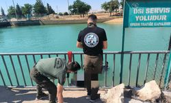 Şanlıurfa Sulama Kanalı Vakası: 1’i Kurtarıldı, 1’i Kayıp