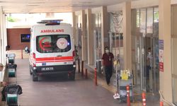 Şanlıurfa'da cinayet bir gözaltı