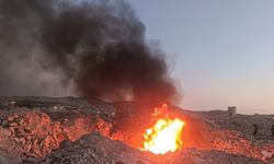 Eyyübiye'de korkutan yangın