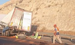 Şanlıurfa'da otobanı da feci kaza!
