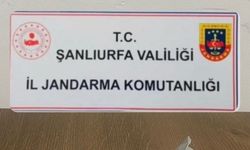 Birecik ve Viranşehir'de operasyon