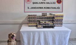 Şanlıurfa'da kaçakçılık operasyonu