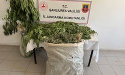 Birecik'te uyuşturucu satıcılarına büyük darbe!