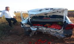Şanlıurfa-Akçakale Karayolunda Kaza: 1 Kişi Yaralandı
